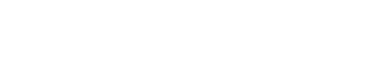 DStoudamire logo